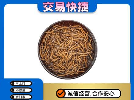 延安高价回收散虫草